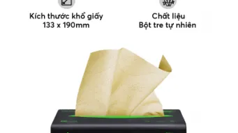 Giấy gấu trúc Hill Side - Hàng nội địa Trung cao cấp